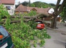 Kwikfynd Tree Cutting Services
oban