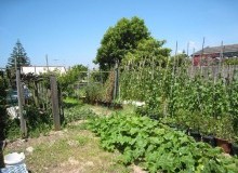 Kwikfynd Vegetable Gardens
oban